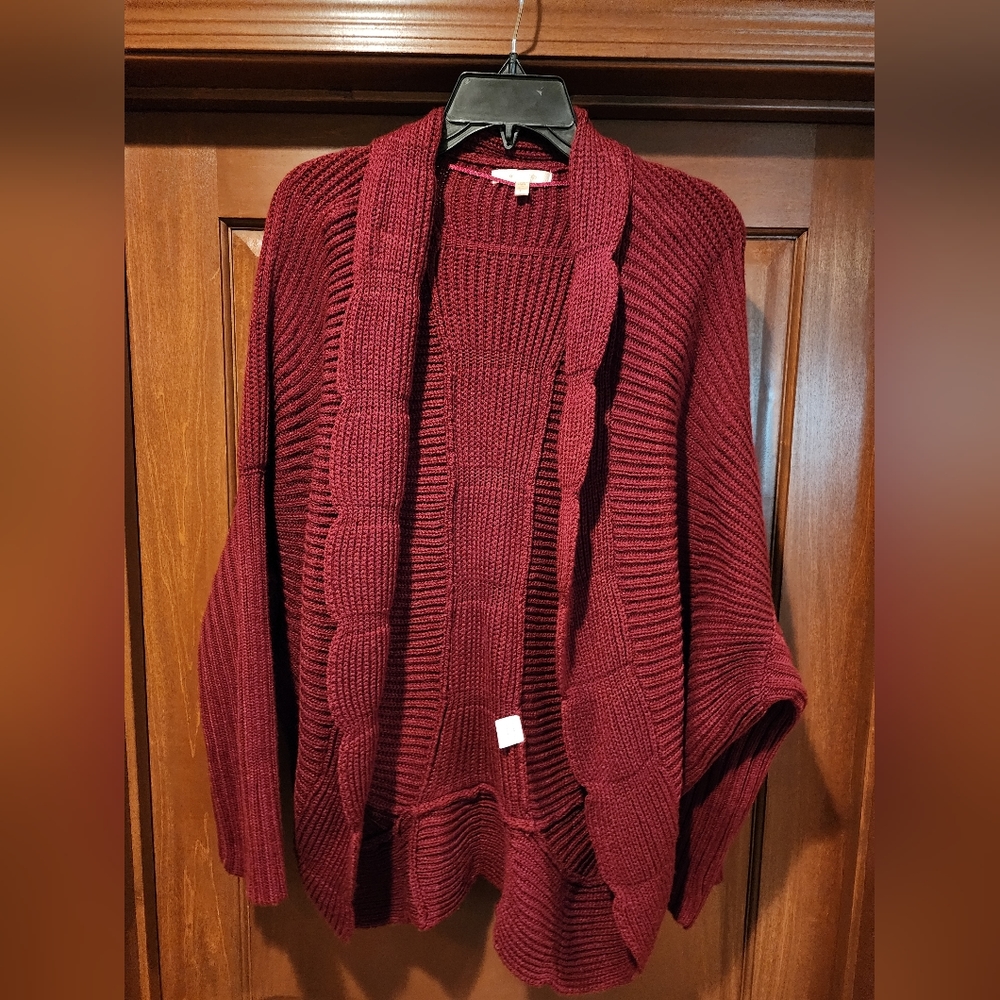 Skied are Blue burgundy Cardigan. Size L. Super comfy.